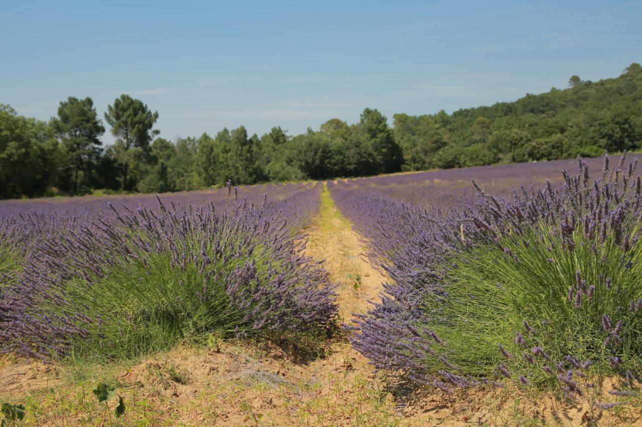 Les Yourtes De Provence Saint-Paulet-de-Caisson Bagian luar foto